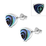 Abalone Reuleaux Triangle Silver Earrings, e390st